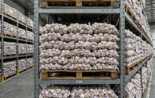 2026 Garlic Sourcing