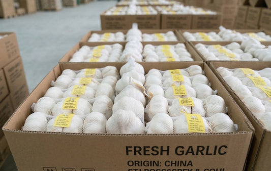 garlic