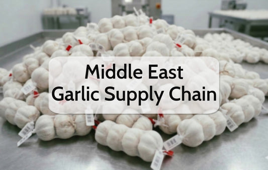 Your Global Garlic Supply,Zileeland