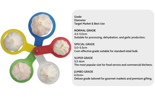 The Ultimate Guide to Garlic Caliber Grading for Global Supermarkets