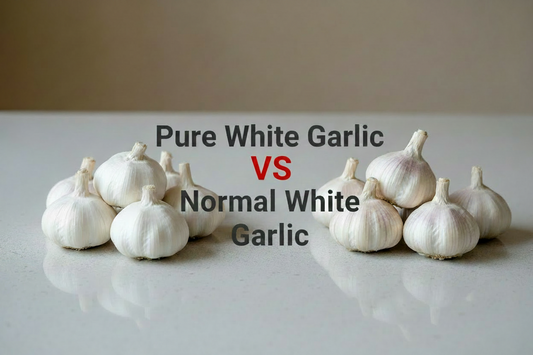 Pure White vs. Normal White Garlic