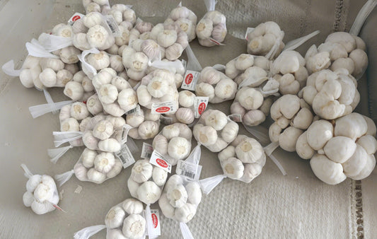 garlic