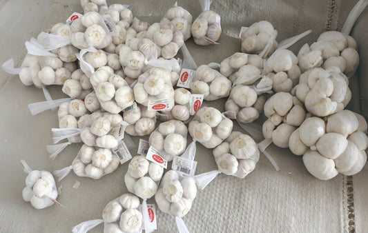 Pure white garlic 5.0-5.5cm,Zileeland