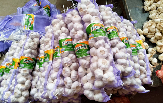 Premium Jinxiang Garlic Arriving in Dubai: Your Direct Supply Chain from China to UAE