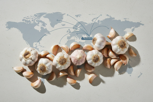 loading fresh garlic