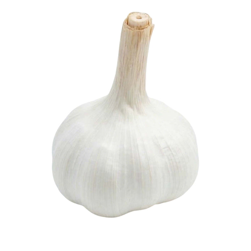 High quality snow white garlic wholesale for premium hotel supply and catering.