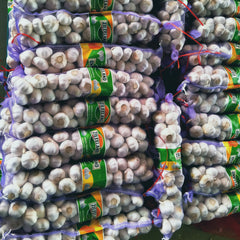 Export grade garlic wholesale in mesh bags for Middle East supermarkets and retail.