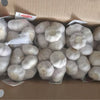 normal white garlic box