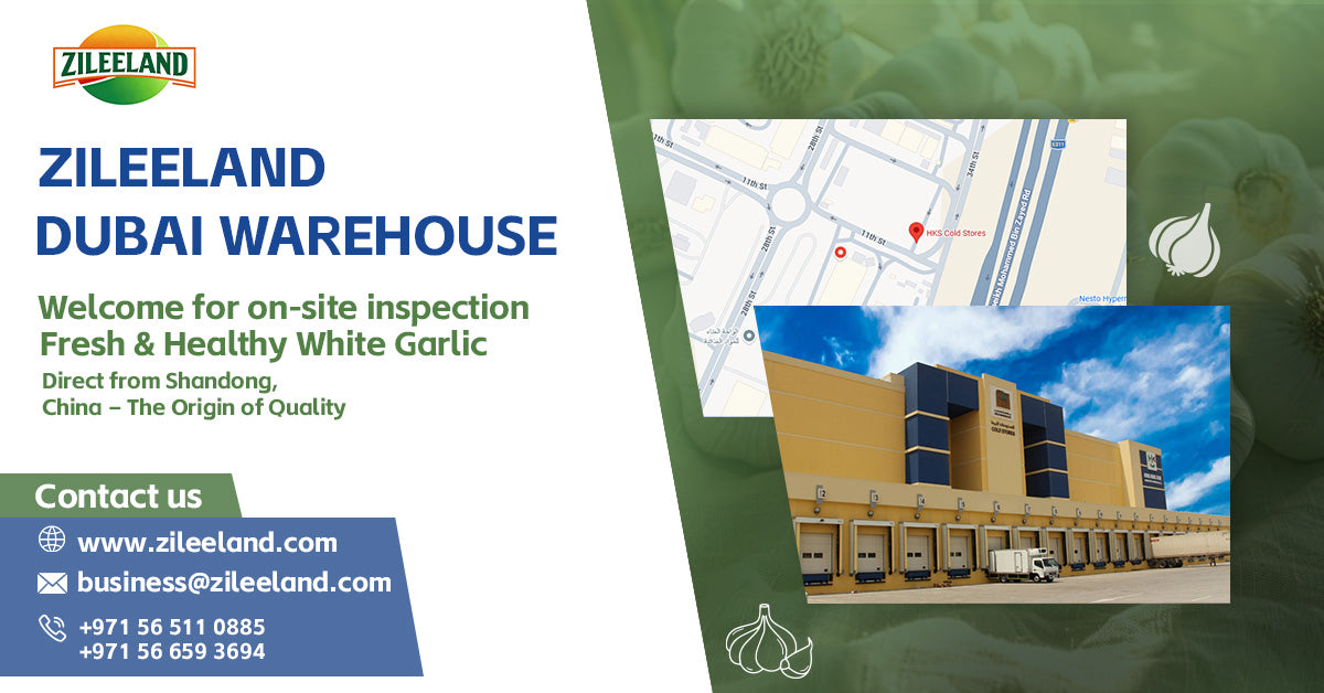 Zileeland Dubai Hub in Ras Al Khor: Cold storage, garlic harvesting, and distribution center.