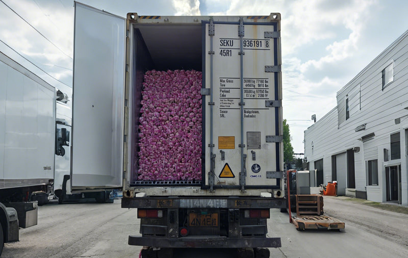 Efficient Reefer Logistics