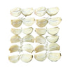  Peeled Garlic Cut